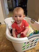 28th Apr 2014 - Baby in a basket