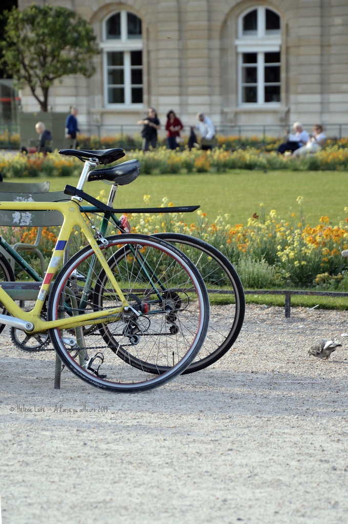 Bicycles in Luxembourg garden by parisouailleurs