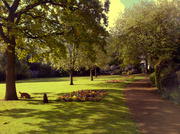 6th May 2014 - A walk in the park