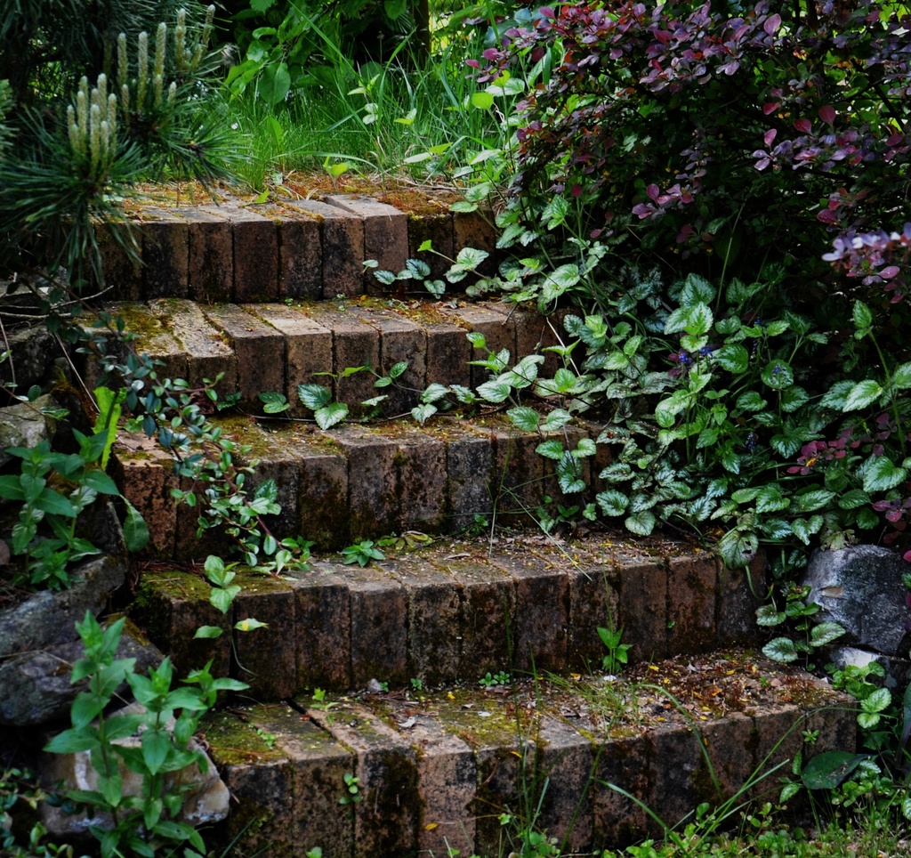 Abandoned staircase by ivanc