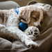 Playing ball is exhausting. by mccarth1
