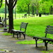 Rainy Day Benches by khawbecker