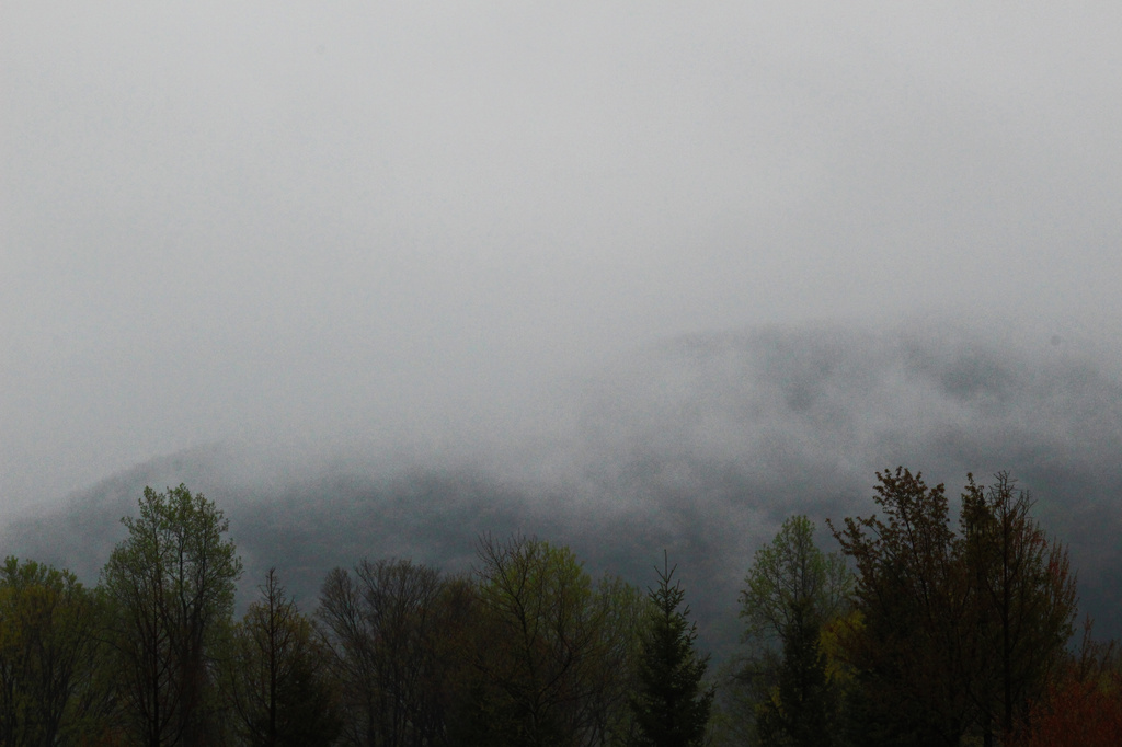 Misty Mountains  by mzzhope