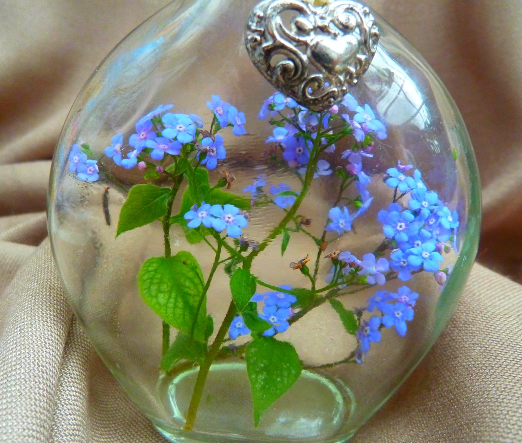 Motivate-4-May.Flower. Message in a bottle by wendyfrost