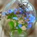 Motivate-4-May.Flower. Message in a bottle by wendyfrost