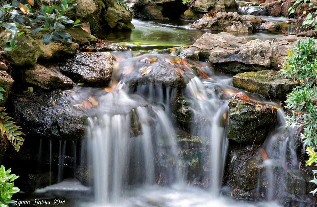 Waterfalls by lynne5477