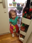 9th May 2014 - Baby in a fridge 