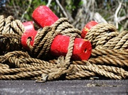 9th May 2014 - More Fun With Rope and Floats