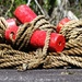 More Fun With Rope and Floats by juliedduncan
