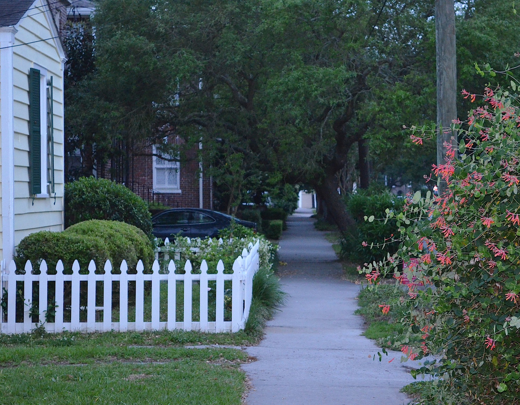 Sidewalk scene, Harleston Village, Charleston, SC by congaree