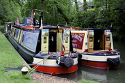 10th May 2014 - Basingstoke Canal