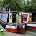 Basingstoke Canal by nicolaeastwood