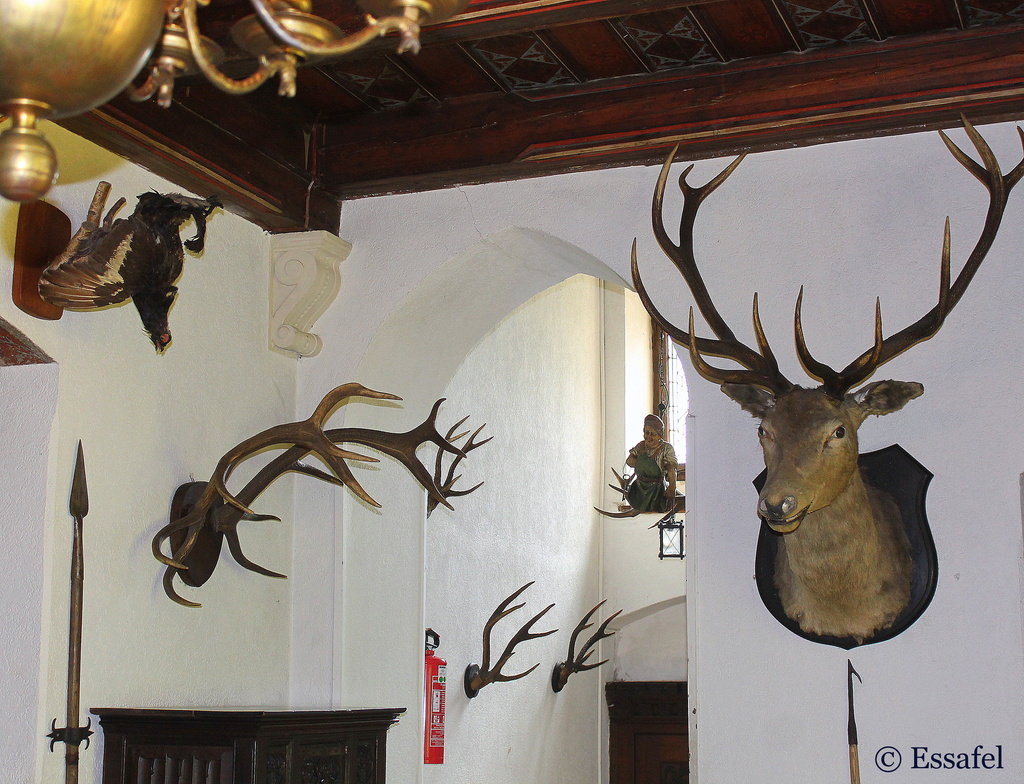 20140505 "I use antlers in all of my decorating....." by essafel