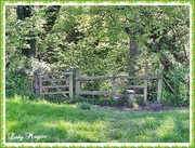 11th May 2014 - A Walk with Stile.