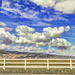 On The Way To Bakersfield by joysfocus
