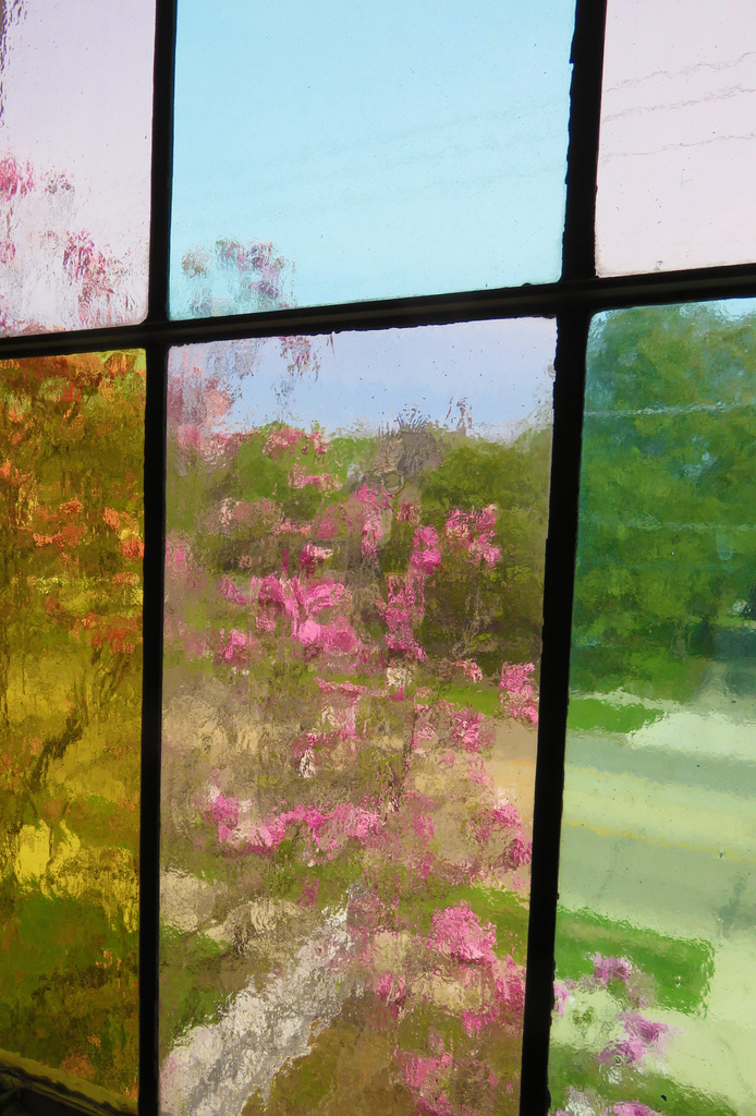 Day 341 Flowers Behind the Stained Glass by rminer
