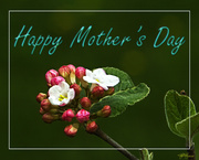 11th May 2014 - HAPPY MOTHER'S DAY