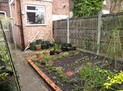 12th May 2014 - My Garden 1