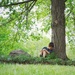 A Boy and a Tree and the BUGS!! by alophoto