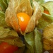 Motivate-for-May. Fruit. Physalis AKA Chinese lanterns. by wendyfrost