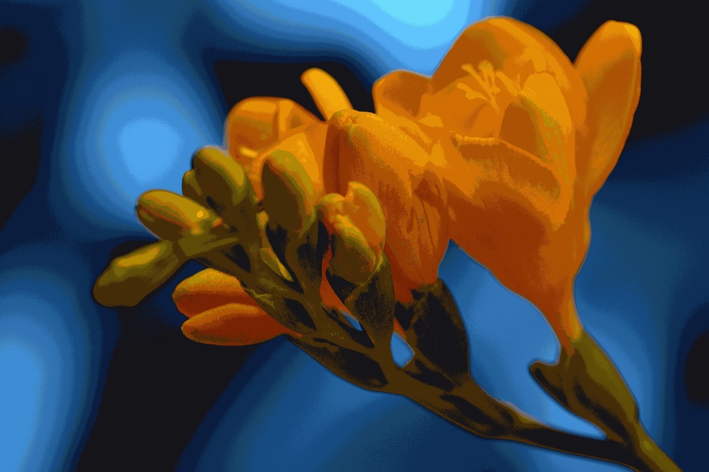 Spring in complementary colours by ivanc