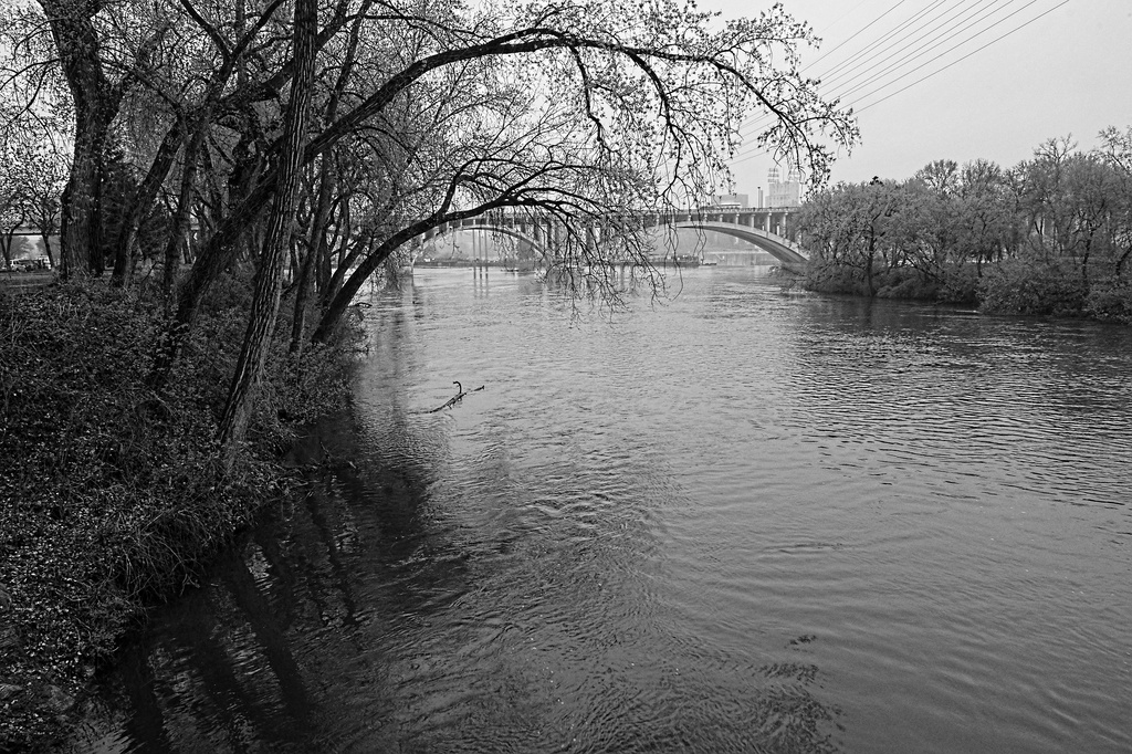 Mississippi River at Minneapolis by tosee