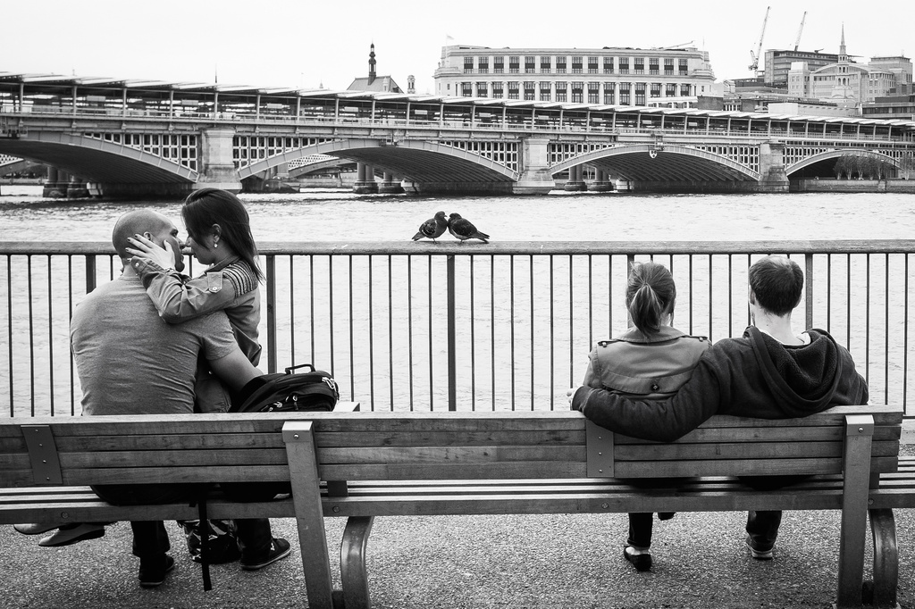 Day 125, Year 2 - Lovebirds On The South Bank by stevecameras