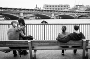 5th May 2014 - Day 125, Year 2 - Lovebirds On The South Bank
