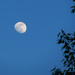 Moon by april16