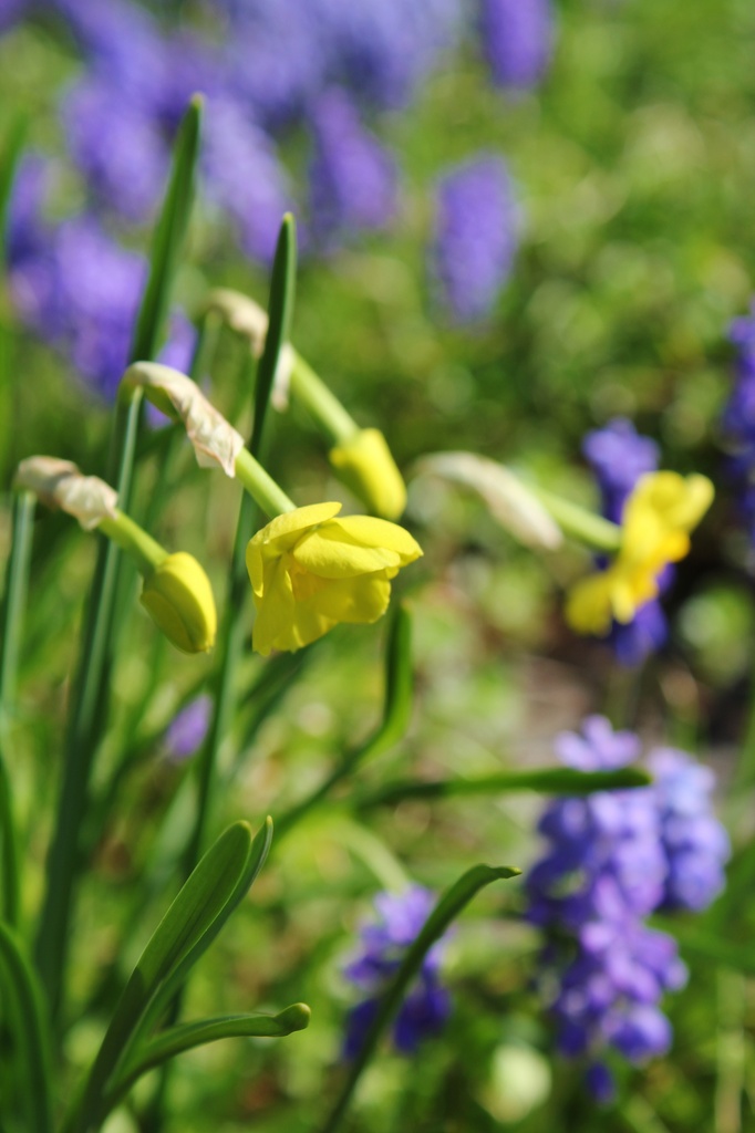 Bowed heads by edorreandresen