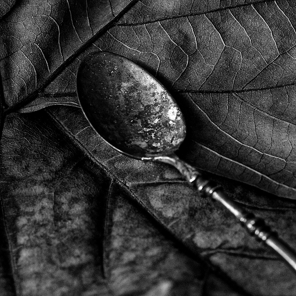 Leaf and spoon by brigette