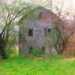 Abandoned Barn by olivetreeann