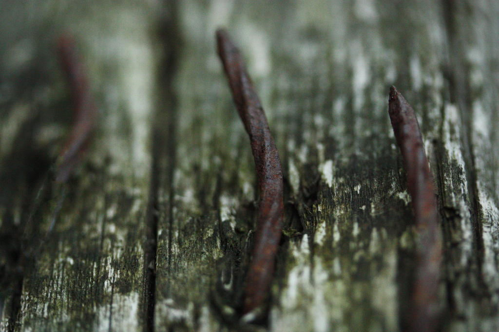 Rusty Nails by mzzhope