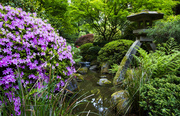 7th May 2014 - Japanese Garden