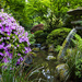 Japanese Garden by aecasey