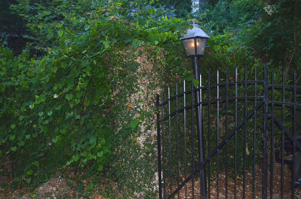 Lamp and gates, historic district, Charleston, SC by congaree