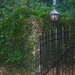 Lamp and gates, historic district, Charleston, SC by congaree