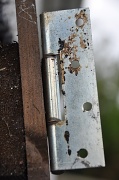 6th Oct 2010 - Hinge of the shed door