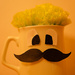 Mr cup by elisasaeter