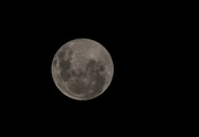 14th May 2014 - Moon 14 May 2014