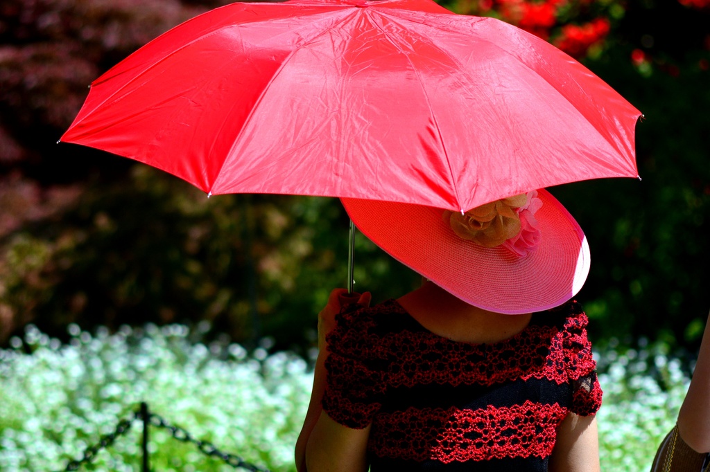 The Red Umbrella by jayberg