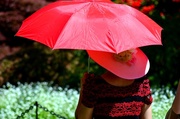 15th May 2014 - The Red Umbrella