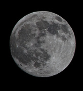 14th May 2014 - It was a full moon last night