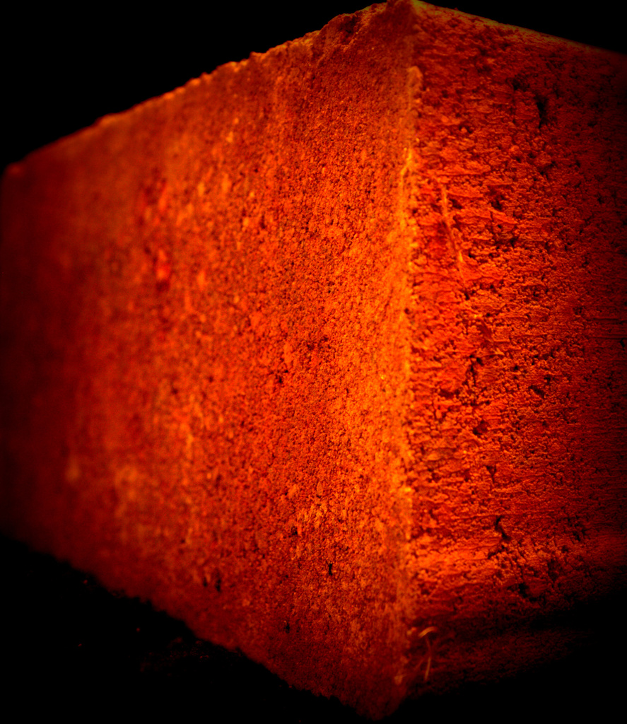 Day 134:  Brick by sheilalorson