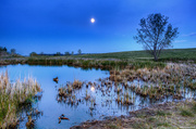 14th May 2014 - Full Moon Over the Pond