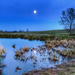 Full Moon Over the Pond by exposure4u