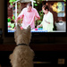 15th May 2014 - Finlay watching Neighbours by pamknowler