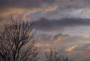 9th May 2014 - Spring Evening Sky