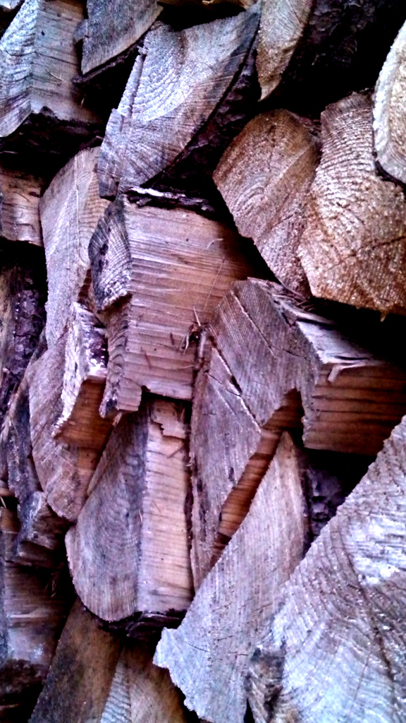 woodpile by lifepause