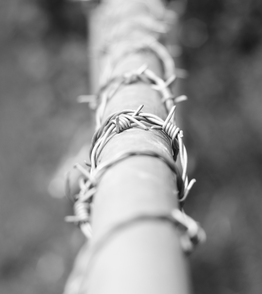 Barbed wire by manek43509